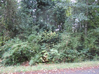 Picture of Point Roberts Parcel Number 405301-018399